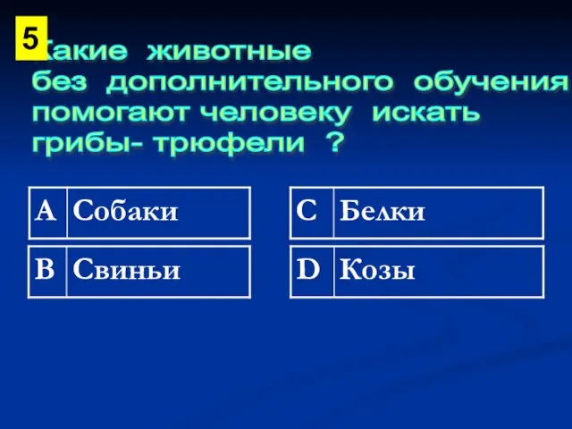 Какие животные без дополнительного обучения помогают человеку искать грибы- трюфели ? 5