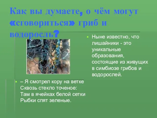 Как вы думаете, о чём могут «сговориться» гриб и водоросль? Ныне известно,