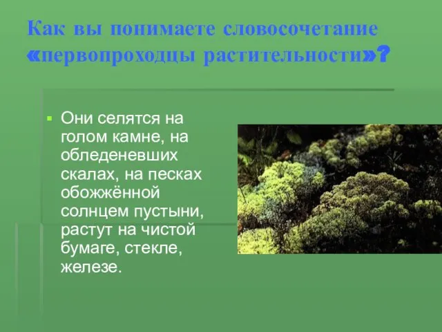 Как вы понимаете словосочетание «первопроходцы растительности»? Они селятся на голом камне, на