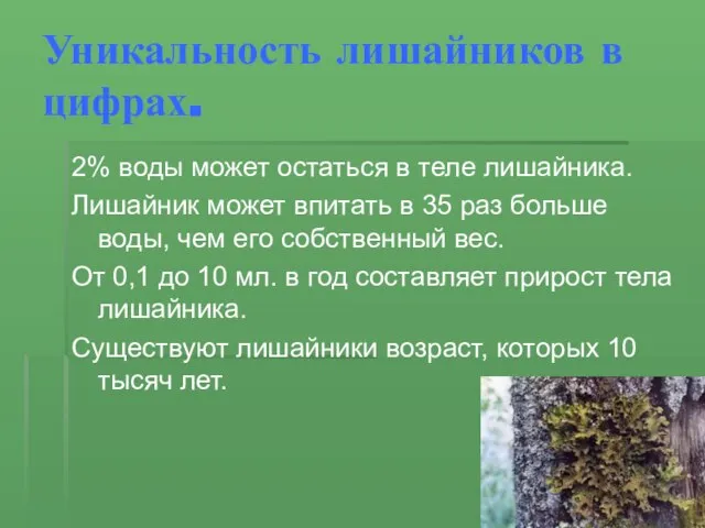 Уникальность лишайников в цифрах. 2% воды может остаться в теле лишайника. Лишайник