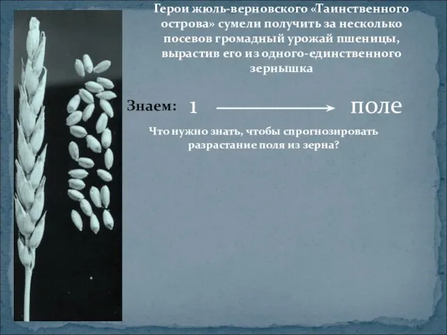 Герои жюль-верновского «Таинственного острова» сумели получить за несколько посевов громадный урожай пшеницы,