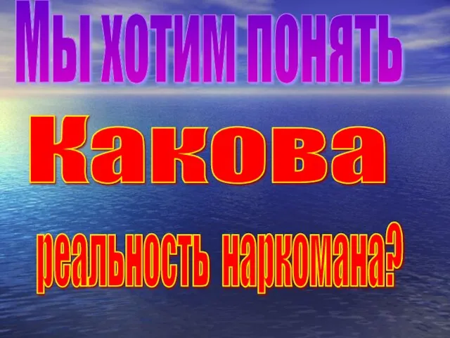 реальность наркомана? Мы хотим понять Какова