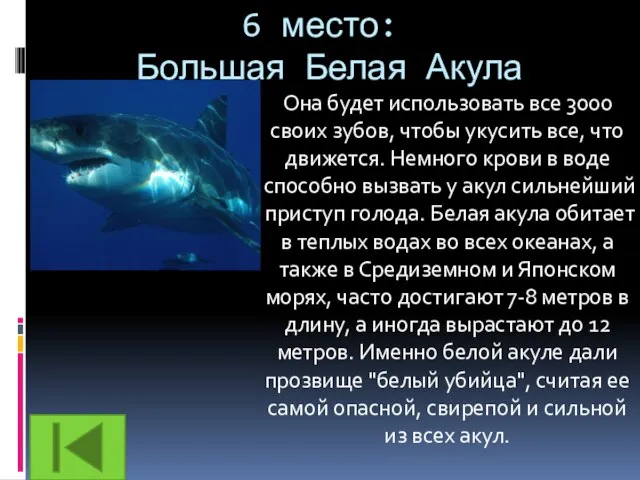 6 место: Большая Белая Акула Она будет использовать все 3000 своих зубов,