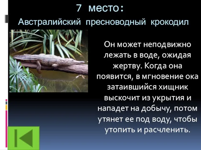 7 место: Австралийский пресноводный крокодил Он может неподвижно лежать в воде, ожидая