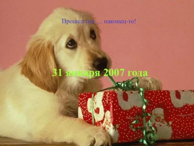 Прошел год … наконец-то! 31 января 2007 года