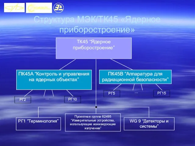 Структура МЭК/ТК45 «Ядерное приборостроение»