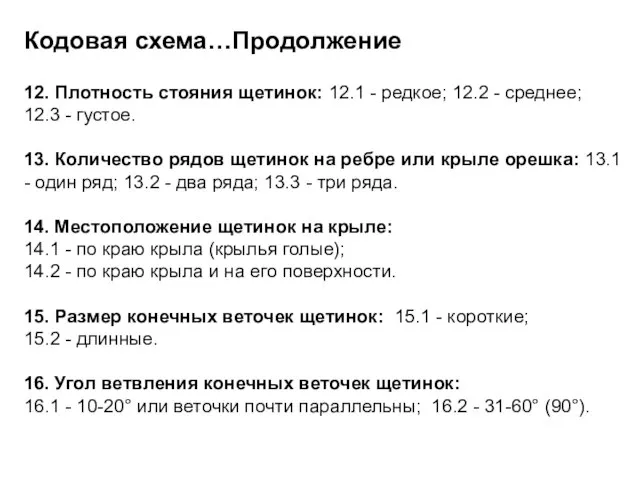 Кодовая схема…Продолжение 12. Плотность стояния щетинок: 12.1 - редкое; 12.2 - среднее;