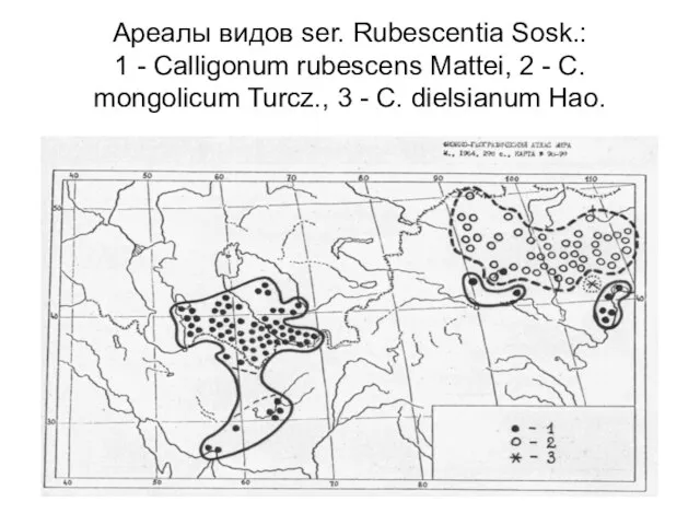 Ареалы видов ser. Rubescentia Sosk.: 1 - Calligonum rubescens Mattei, 2 -