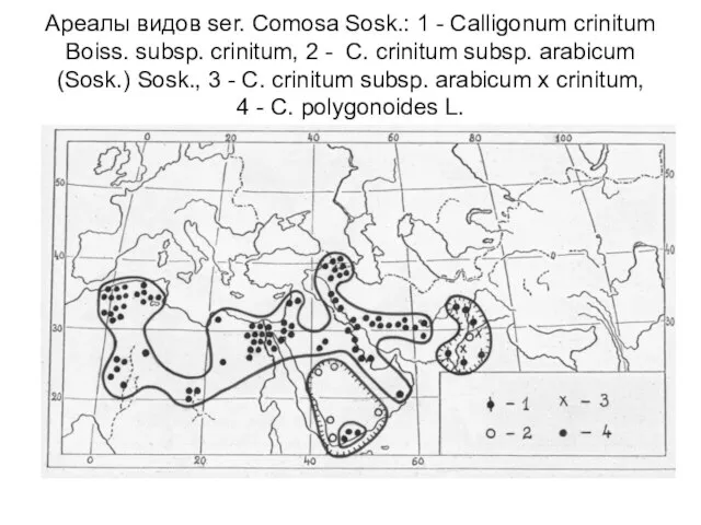 Ареалы видов ser. Comosa Sosk.: 1 - Calligonum crinitum Boiss. subsp. crinitum,