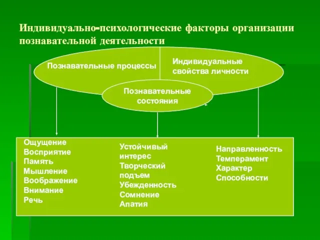 Индивидуально-психологические факторы организации познавательной деятельности Познавательные процессы Индивидуальные свойства личности Познавательные состояния