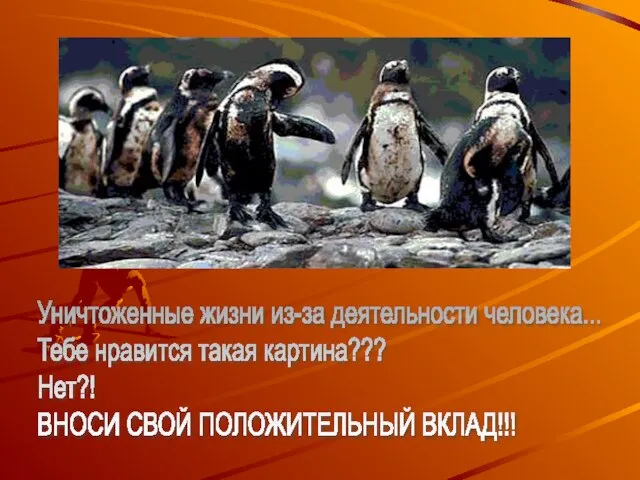 Уничтоженные жизни из-за деятельности человека... Тебе нравится такая картина??? Нет?! ВНОСИ СВОЙ ПОЛОЖИТЕЛЬНЫЙ ВКЛАД!!!