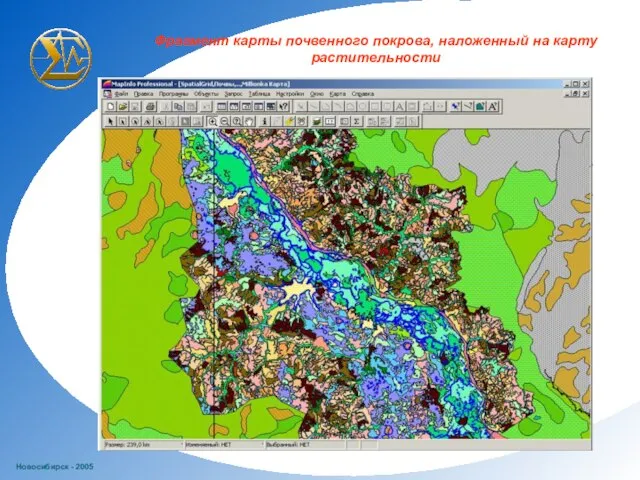 Новосибирск - 2005 Фрагмент карты почвенного покрова, наложенный на карту растительности