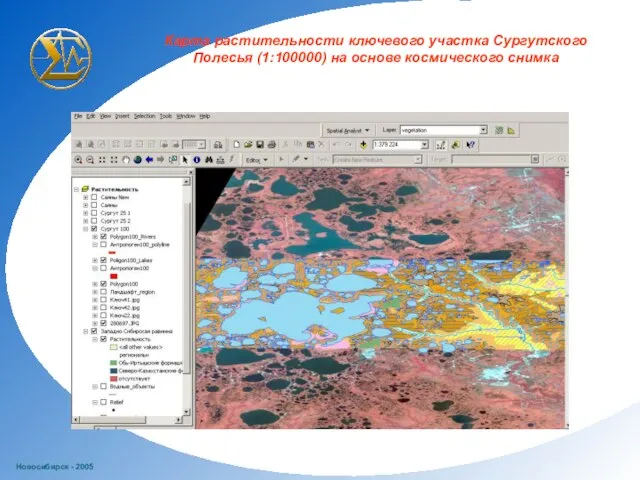 Новосибирск - 2005 Карта растительности ключевого участка Сургутского Полесья (1:100000) на основе космического снимка