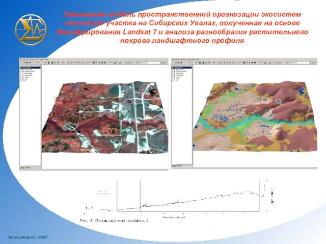 Новосибирск - 2005 Трехмерная модель пространственной организации экосистем ключевого участка на Сибирских