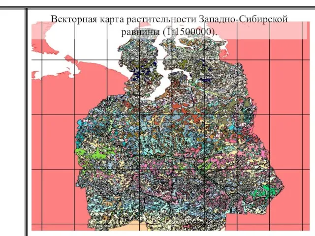 Векторная карта растительности Западно-Сибирской равнины (1:1500000).