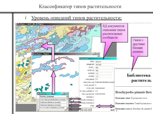 Уровень описаний типов растительности: Классификатор типов растительности