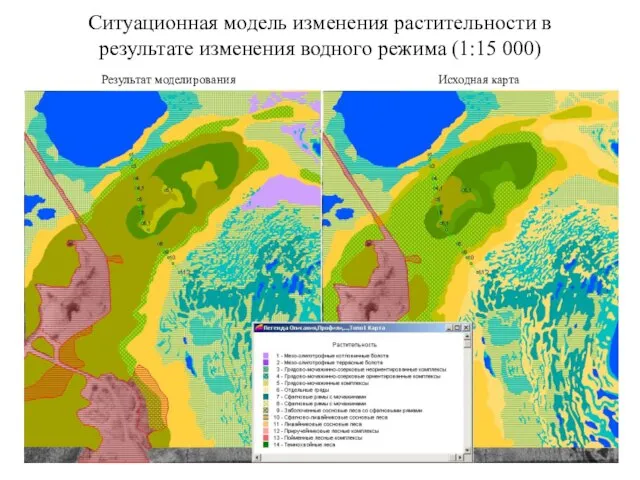 Ситуационная модель изменения растительности в результате изменения водного режима (1:15 000) Результат моделирования Исходная карта