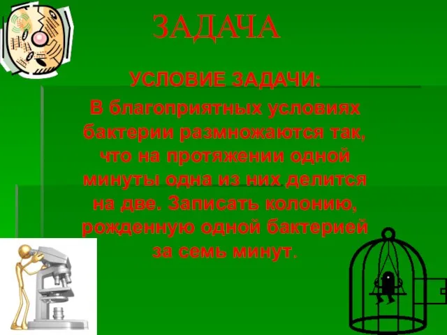 ЗАДАЧА УСЛОВИЕ ЗАДАЧИ: В благоприятных условиях бактерии размножаются так, что на протяжении