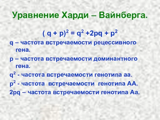 Уравнение Харди – Вайнберга. ( q + p)2 = q2 +2pq +