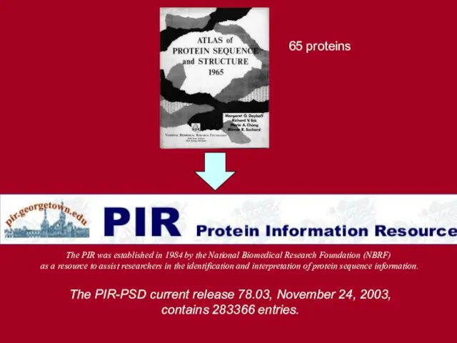 The PIR-PSD current release 78.03, November 24, 2003, contains 283366 entries. 65
