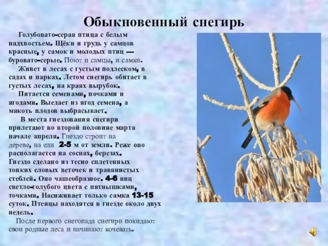 Голубовато-серая птица с белым надхвостьем. Щёки и грудь у самцов красные, у