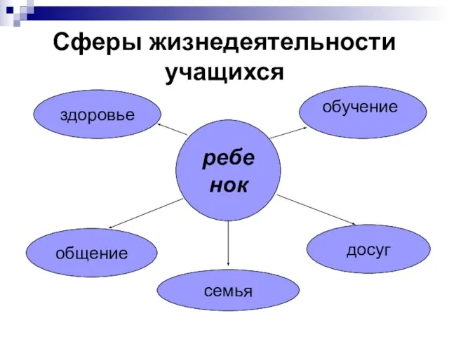 Сферы жизнедеятельности учащихся ребенок здоровье обучение общение семья досуг