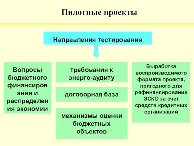 Пилотные проекты механизмы оценки бюджетных объектов договорная база требования к энерго-аудиту Вопросы