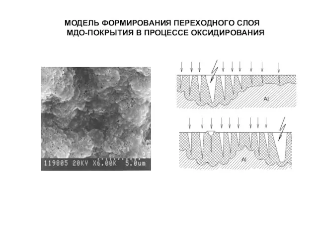 МОДЕЛЬ ФОРМИРОВАНИЯ ПЕРЕХОДНОГО СЛОЯ МДО-ПОКРЫТИЯ В ПРОЦЕССЕ ОКСИДИРОВАНИЯ