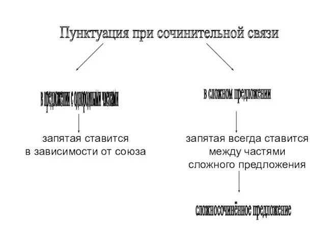 Пунктуация при сочинительной связи в сложном предложении в предложении с однородными членами