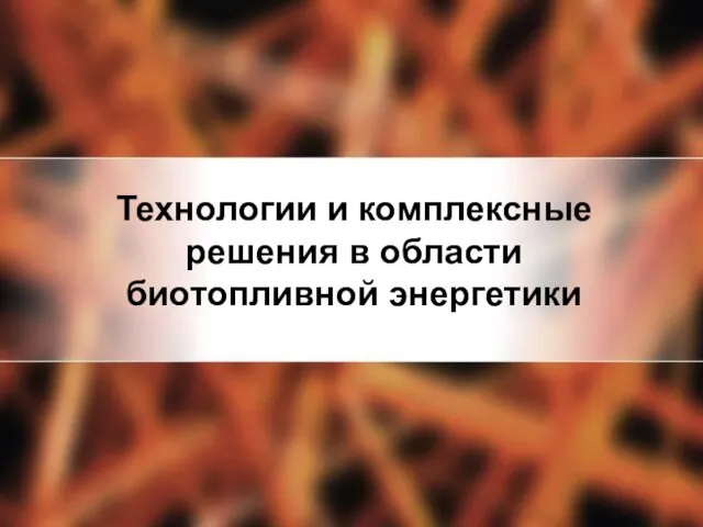 Технологии и комплексные решения в области биотопливной энергетики