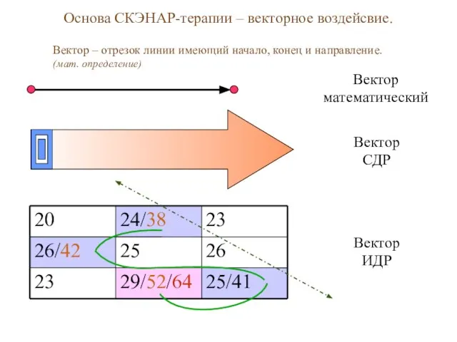 Основа СКЭНАР-терапии – векторное воздейсвие. Вектор – отрезок линии имеющий начало, конец