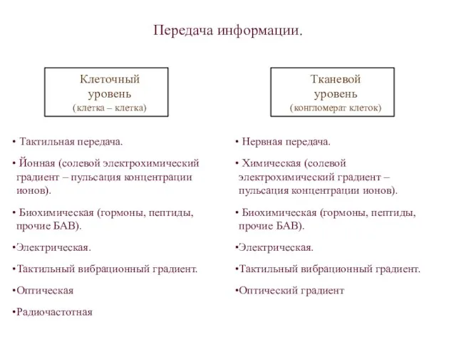 Нервная передача. Химическая (солевой электрохимический градиент – пульсация концентрации ионов). Биохимическая (гормоны,