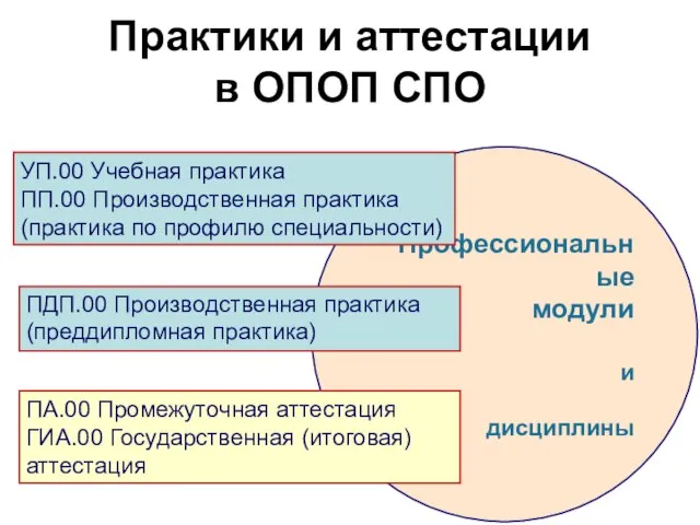 Профессиональные модули и дисциплины УП.00 Учебная практика ПП.00 Производственная практика (практика по