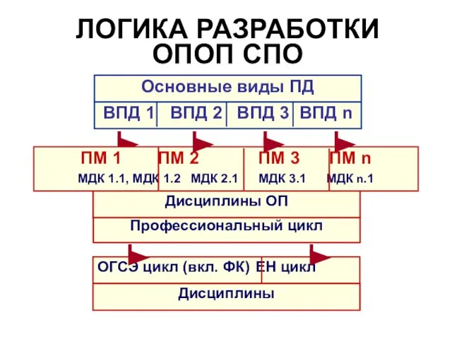 Основные виды ПД ЛОГИКА РАЗРАБОТКИ ОПОП СПО ВПД 1 ВПД 2 ВПД