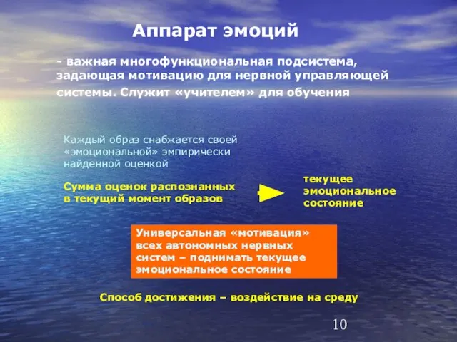 Аппарат эмоций - важная многофункциональная подсистема, задающая мотивацию для нервной управляющей системы.