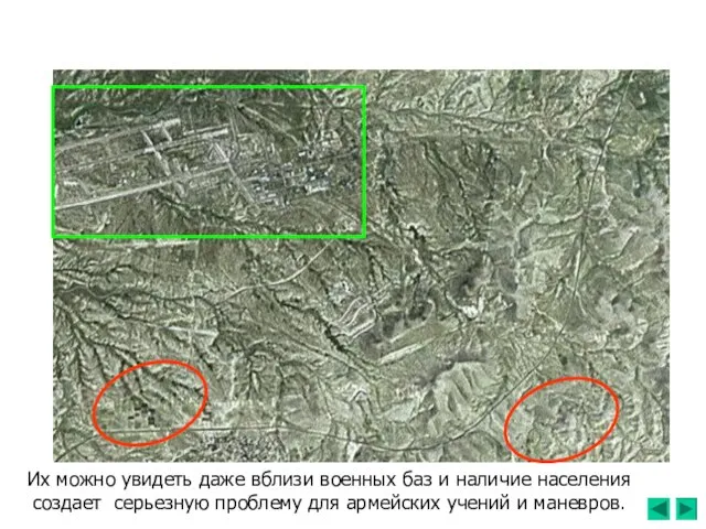 Их можно увидеть даже вблизи военных баз и наличие населения создает серьезную