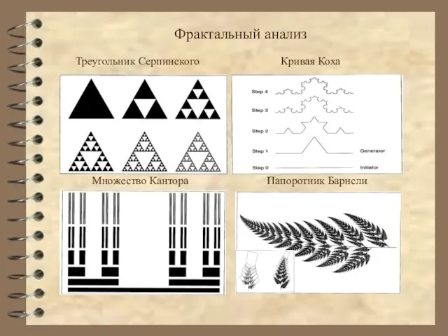 Фрактальный анализ Треугольник Серпинского Кривая Коха Множество Кантора Папоротник Барнсли