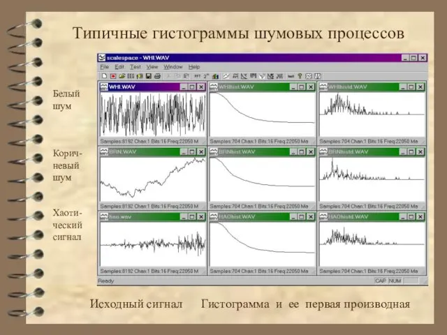 Типичные гистограммы шумовых процессов Белый шум Корич-невый шум Хаоти-ческий сигнал Исходный сигнал