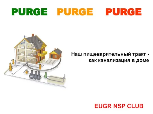 Наш пищеварительный тракт - как канализация в доме EUGR NSP CLUB PURGE PURGE PURGE