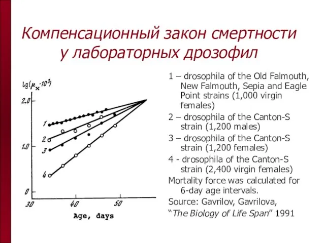 Компенсационный закон смертности у лабораторных дрозофил 1 – drosophila of the Old