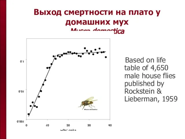 Выход смертности на плато у домашних мух Musca domestica Based on life