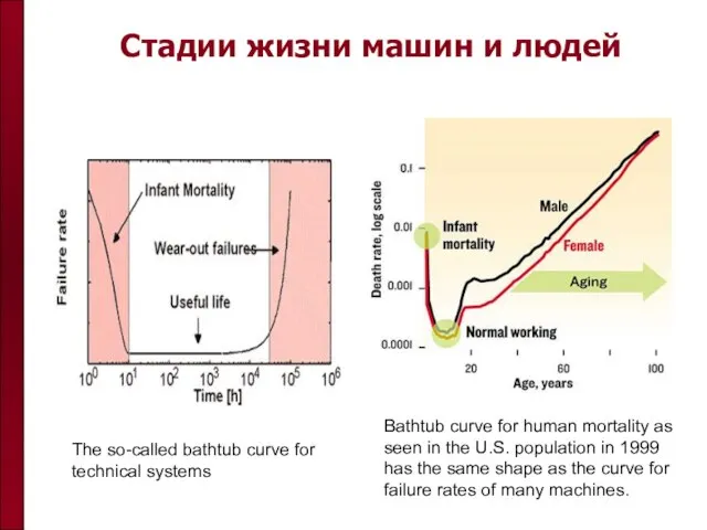 Стадии жизни машин и людей The so-called bathtub curve for technical systems