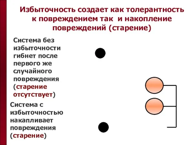 Избыточность создает как толерантность к повреждением так и накопление повреждений (старение) Система