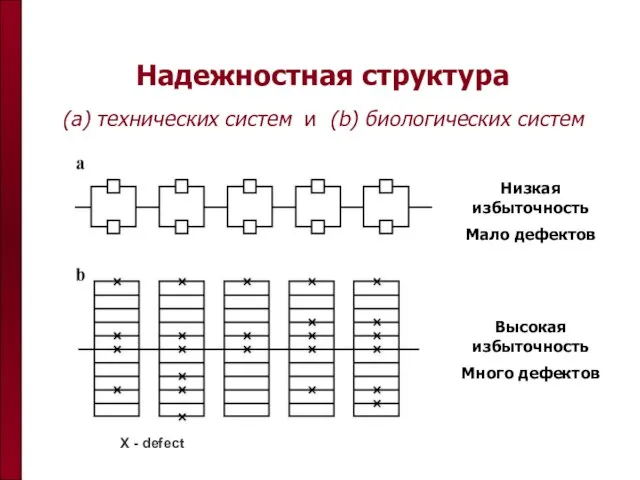 Надежностная структура (a) технических систем и (b) биологических систем Низкая избыточность Мало