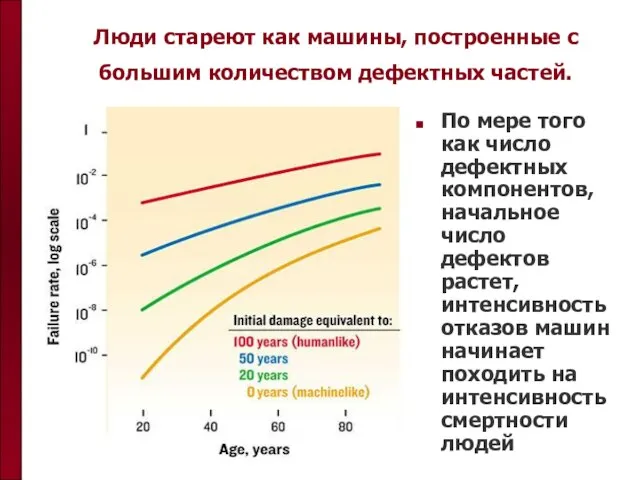 Люди стареют как машины, построенные с большим количеством дефектных частей. По мере