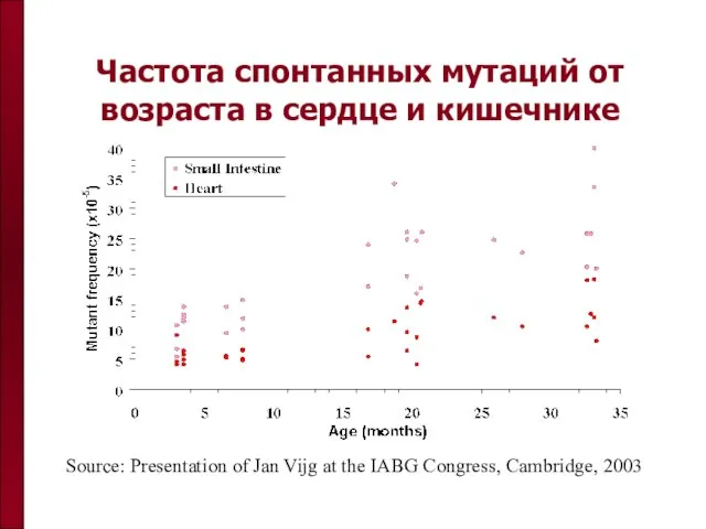 Частота спонтанных мутаций от возраста в сердце и кишечнике Source: Presentation of