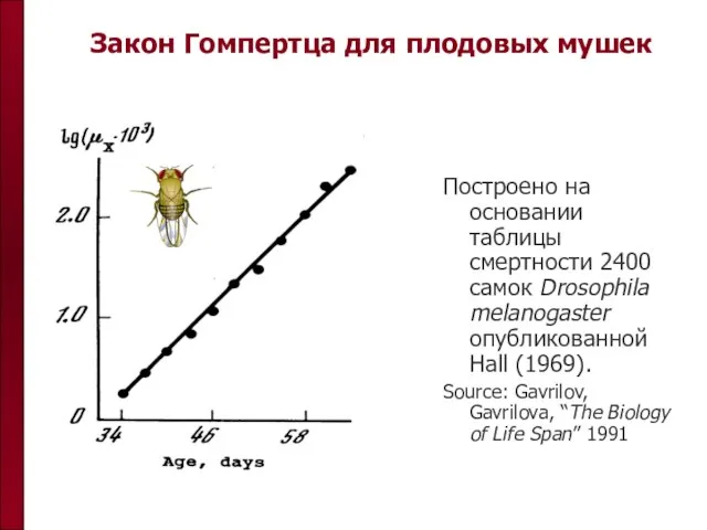 Закон Гомпертца для плодовых мушек Построено на основании таблицы смертности 2400 самок