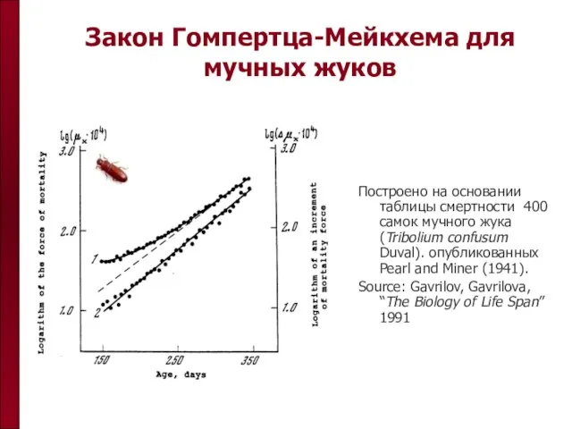 Закон Гомпертца-Мейкхема для мучных жуков Построено на основании таблицы смертности 400 самок