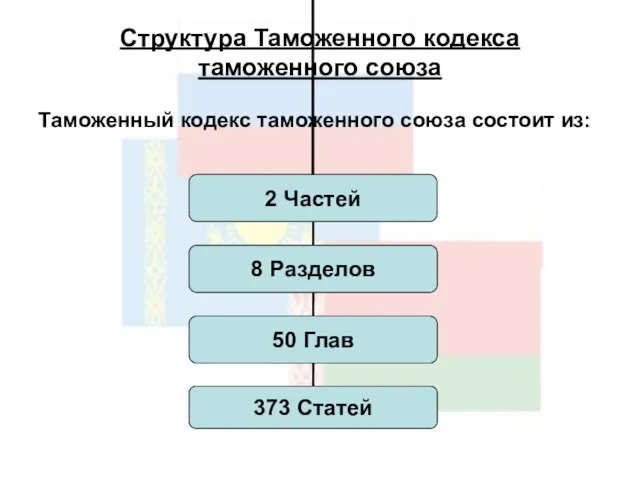 Структура Таможенного кодекса таможенного союза Таможенный кодекс таможенного союза состоит из: