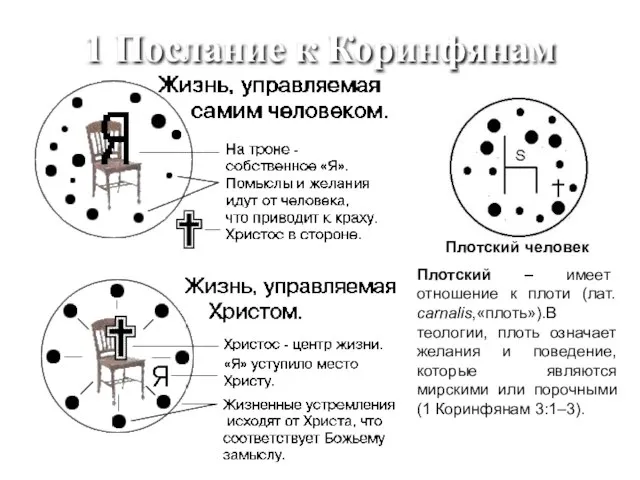 1 Послание к Коринфянам Плотский человек Плотский – имеет отношение к плоти